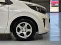 Kia Picanto 1.0 DPi Concept Blanc - thumbnail 14