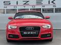 Audi A5 SB 2,0 TDI DPF|S-LINE|XENON|NAVI|PDC|STZHZG Rot - thumbnail 5