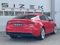 Audi A5 SB 2,0 TDI DPF|S-LINE|XENON|NAVI|PDC|STZHZG Rot - thumbnail 4