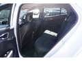 Kia Sportage 1.6T 48V 2WD Ultimate DCT Navi Induk. Weiß - thumbnail 24