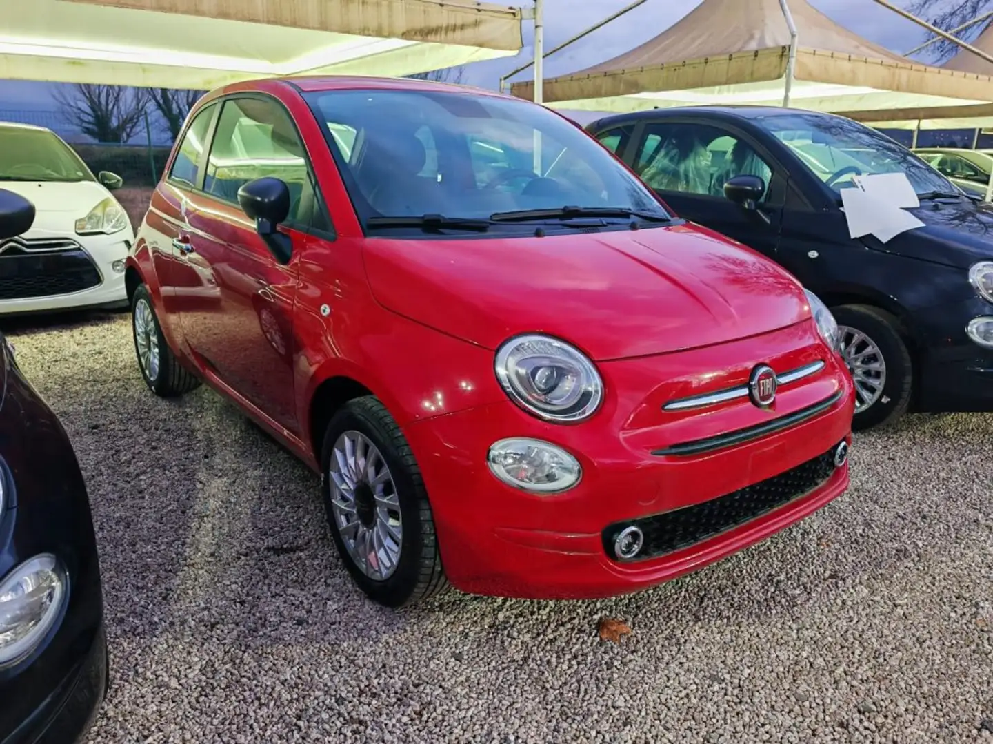 Fiat 500 1000 HYBRID 70 CV CARPLAY PDC Rosso - 1