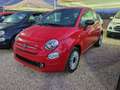 Fiat 500 1000 HYBRID 70 CV CARPLAY PDC Rosso - thumbnail 2