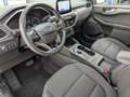 Ford Kuga Titanium 2,0 Eco Blue AWD Aut. Grau - thumbnail 12