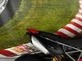 Ducati Hypermotard 950 SERVICE NEU | TOP ZUSTAND] Червоний - thumbnail 7