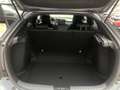 Honda Civic 1.0 i-VTEC Turbo Executive Grau - thumbnail 13