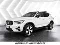 Volvo XC40 B3 Mild-Hybrid Benzin Ultra Dark Weiß - thumbnail 3