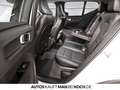 Volvo XC40 B3 Mild-Hybrid Benzin Ultra Dark Blanc - thumbnail 8