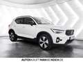 Volvo XC40 B3 Mild-Hybrid Benzin Ultra Dark Weiß - thumbnail 6