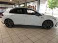 Volkswagen Golf VIII 2.0 TSI GTI *Pano-Dach,Navi,Matrix* Blanc - thumbnail 4