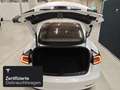 Tesla Model 3 Rear-Wheel Drive Weiß - thumbnail 8
