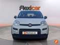 Fiat Panda Cross 1.0 Hybrid 51kw (70CV) Blanco - thumbnail 2