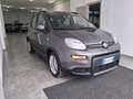 Fiat Panda Panda 1.0 FireFly S&S Hybrid Red Grau - thumbnail 3
