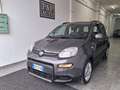 Fiat Panda Panda 1.0 FireFly S&S Hybrid Red Grau - thumbnail 2