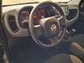Fiat Panda Panda 1.0 FireFly S&S Hybrid Red Grau - thumbnail 9