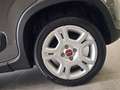 Fiat Panda Panda 1.0 FireFly S&S Hybrid Red Grau - thumbnail 18