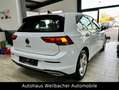 Volkswagen Golf VIII Lim. GTE eHybrid * Virtual * LED *ACC* Blanc - thumbnail 6