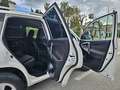 Toyota RAV 4 2.2D-4D Advance 4x2 Blanco - thumbnail 14