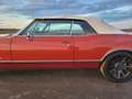 Oldsmobile Dynamic 88 Oldtimer 425 V8 Cabriolet Rot - thumbnail 41