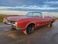 Oldsmobile Dynamic 88 Oldtimer 425 V8 Cabriolet Rot - thumbnail 15