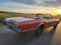 Oldsmobile Dynamic 88 Oldtimer 425 V8 Cabriolet Rot - thumbnail 8