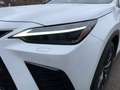Lexus Sonstige E-Four F-Sport 4x4 Plugin AHK Weiß - thumbnail 7