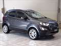 Ford EcoSport 1.0 ecoboost Titanium s&s 125cv Grigio - thumbnail 3