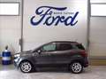 Ford EcoSport 1.0 ecoboost Titanium s&s 125cv Grigio - thumbnail 8