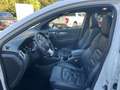 Nissan Qashqai 1.3DIG-T Tekna+ Navi LED AVM Nappa-Leder Weiß - thumbnail 11