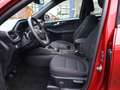 Ford Kuga ST-Line Rot - thumbnail 9
