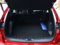 Ford Kuga ST-Line Rot - thumbnail 20