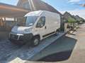 Fiat Ducato Ducato GR-Panorama 33 L2H2 2,3 JTD 120 GR-Panorama Weiß - thumbnail 3