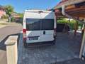 Fiat Ducato Ducato GR-Panorama 33 L2H2 2,3 JTD 120 GR-Panorama Weiß - thumbnail 5