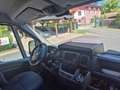 Fiat Ducato Ducato GR-Panorama 33 L2H2 2,3 JTD 120 GR-Panorama Weiß - thumbnail 20