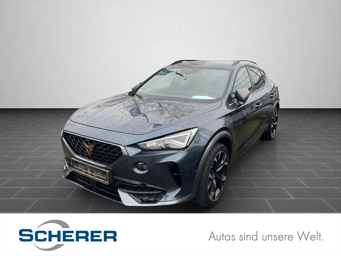 CUPRA Formentor 1,4 TSI Hybrid VZ NAVI/LED/SItzheizung Grau - 1