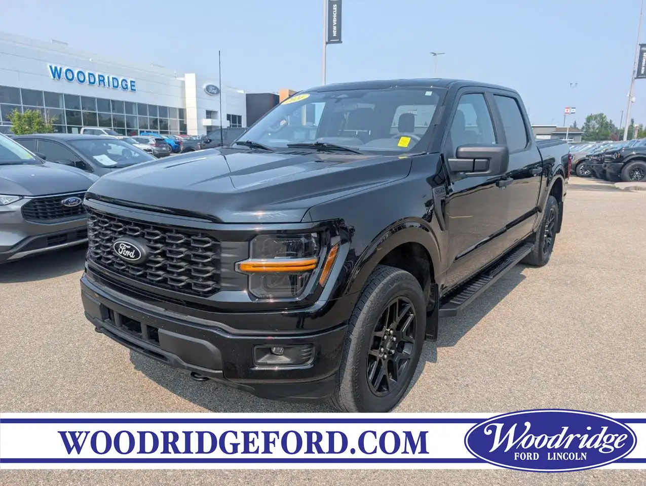 2024 Ford F 150