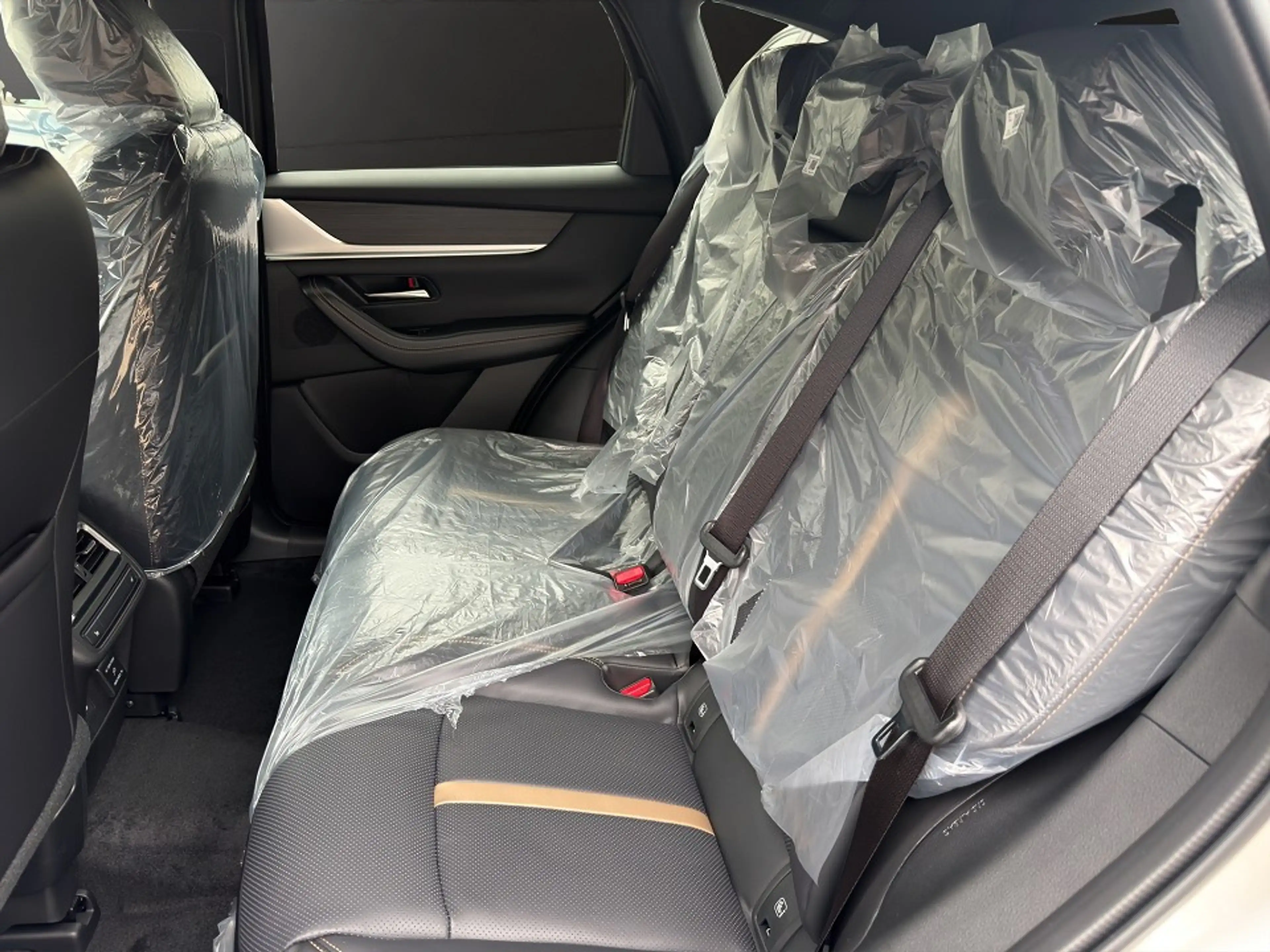 Mazda CX-60 2.5L e-SKYACTIV PHEV 327ps AWD Homura COSO — photo 7