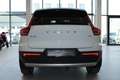 Volvo XC40 T3 Momentum Pro Geartronic **Erstbesitz** Weiß - thumbnail 5