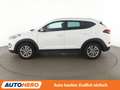 Hyundai TUCSON 1.6 Advantage blue 2WD *NAVI*TEMPO*CAM*PDC*SHZ* Blanco - thumbnail 3