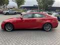 Lexus IS 300 300h Hybrid F-Sport Line NL-AUTO TREKHAAK QUAD-LED Rood - thumbnail 8