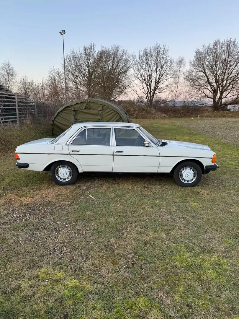 Mercedes-Benz 230 / 1. Hand Weiß - 2