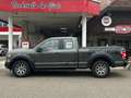 Ford F 150 Gris - thumbnail 10