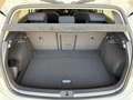 Volkswagen Golf 1.5 TGI DSG 5p. Business BlueMotion Technology Bianco - thumbnail 14