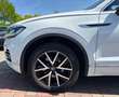 Volkswagen Touareg 3.0 V6 tdi Elegance 231cv tiptronic Bianco - thumbnail 5
