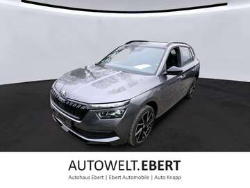 1.5 TSI DSG Monte Carlo/KAMERA/PANO-DACH/