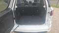 Ford EcoSport 1.0 Ecoboost 100.0 ST-Line Blanc - thumbnail 14