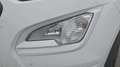 Ford EcoSport 1.0 Ecoboost 100.0 ST-Line Blanc - thumbnail 40