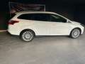 Ford Focus Focus III 2011 SW SW 1.6 tdci Titanium 115cv Bianco - thumbnail 4