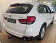 BMW X5 xDrive 30 d LED 360° Leder AHK Tempo HuD Ambiente Blanc - thumbnail 3