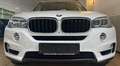 BMW X5 xDrive 30 d LED 360° Leder AHK Tempo HuD Ambiente Blanc - thumbnail 4