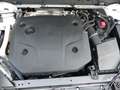 Volvo XC60 Inscription B4 AWD Aut.EUd*1.-HD*STHZG*AHK*H+K*CAM Weiß - thumbnail 26